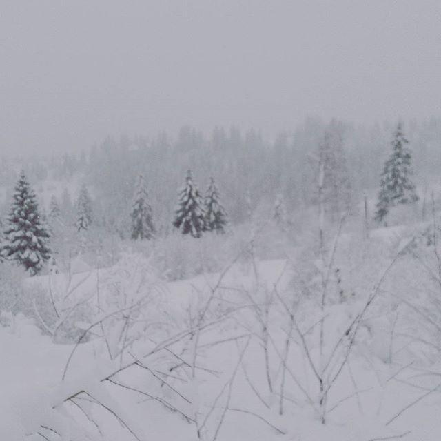 Zacharovany Karpaty Slavske Exterior foto